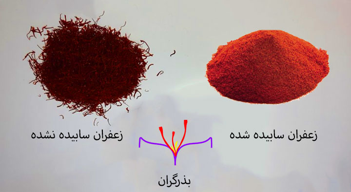 آموزش سابیدن زعفران