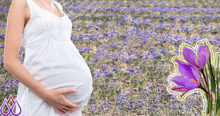 مصرف زعفران در دوران بارداری