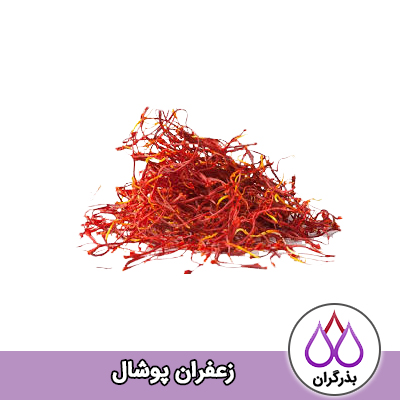 انواع زعفران (زعفران پوشال)