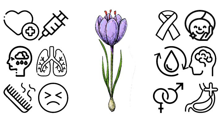 خواص زعفران