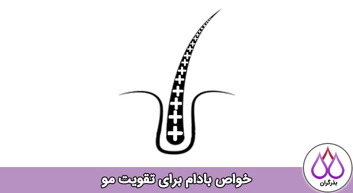 خاصیت بادام برای پوست و مو