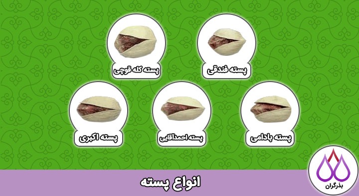 انواع پسته را بشناسید