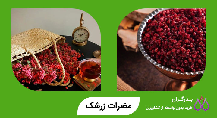 مضرات زرشک و تداخل های دارویی آن