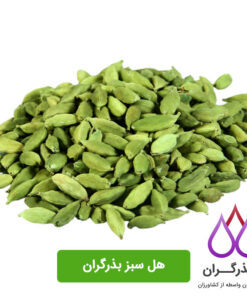 قیمت و خرید هل سبز