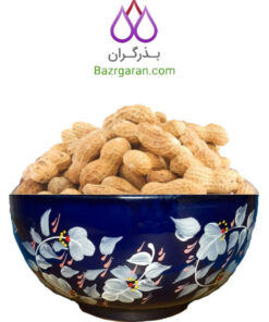 خرید بادام زمینی با پوست