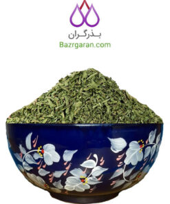 نعناع خشک شده بذرگران
