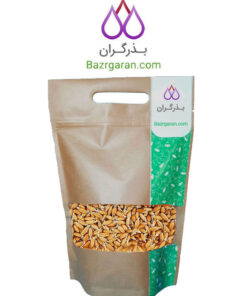 خرید جوانه گندم