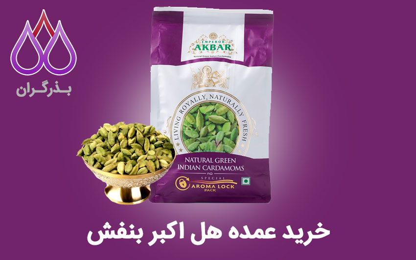قیمت و خرید عمده هل اکبر بنفش