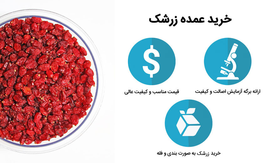 قیمت و خرید عمده زرشک صادراتی