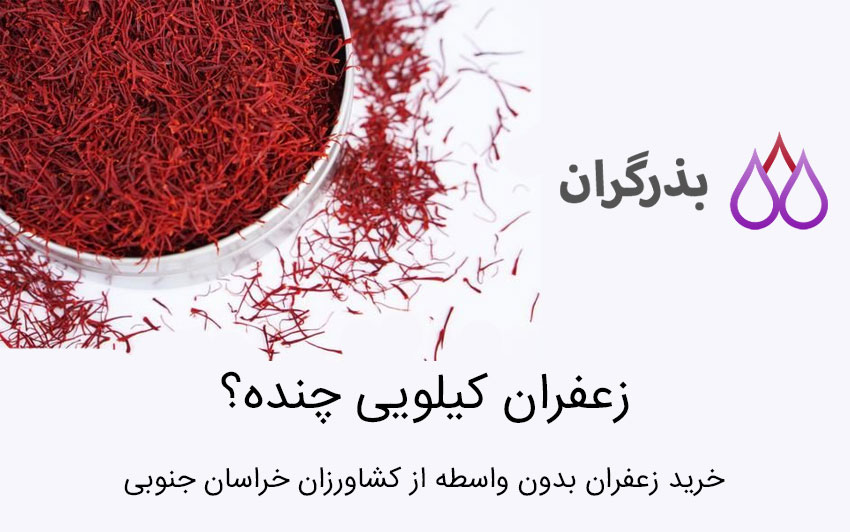 قیمت و خرید زعفران کیلویی قائنات از کشاورزان